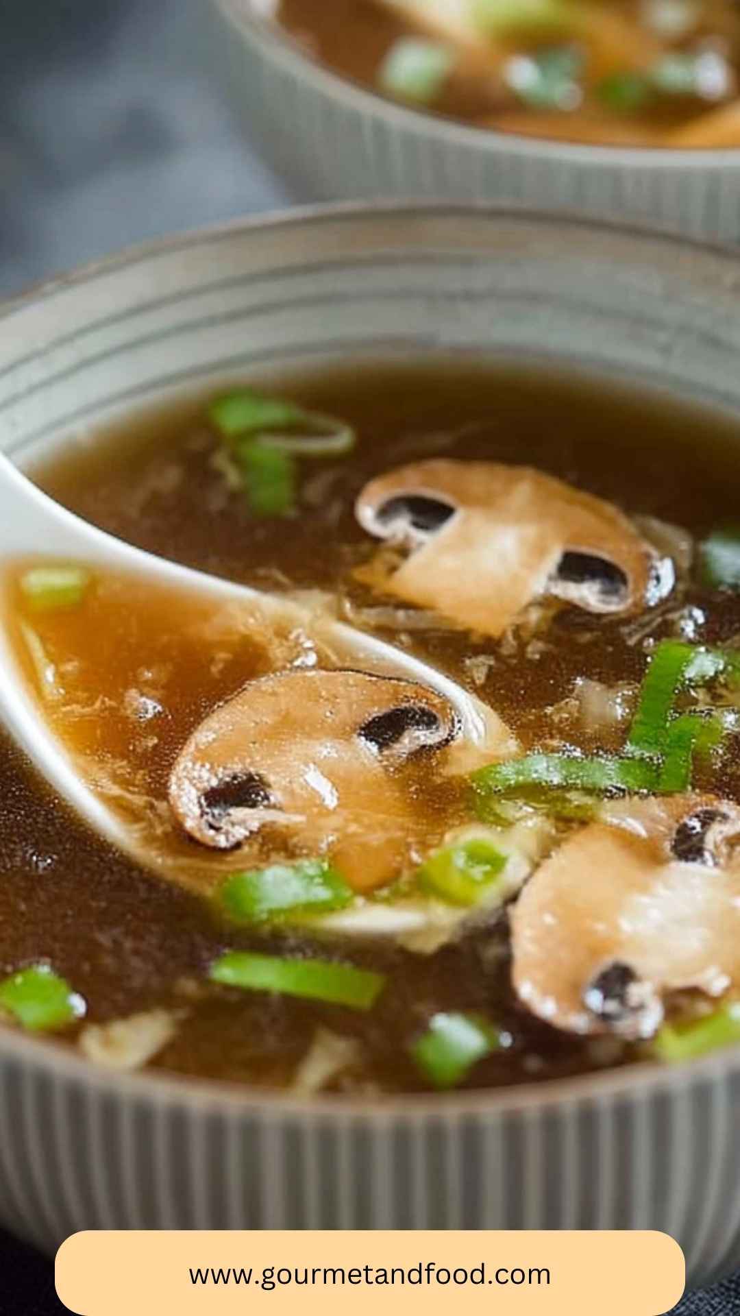 Best Hibachi Onion Soup Recipe