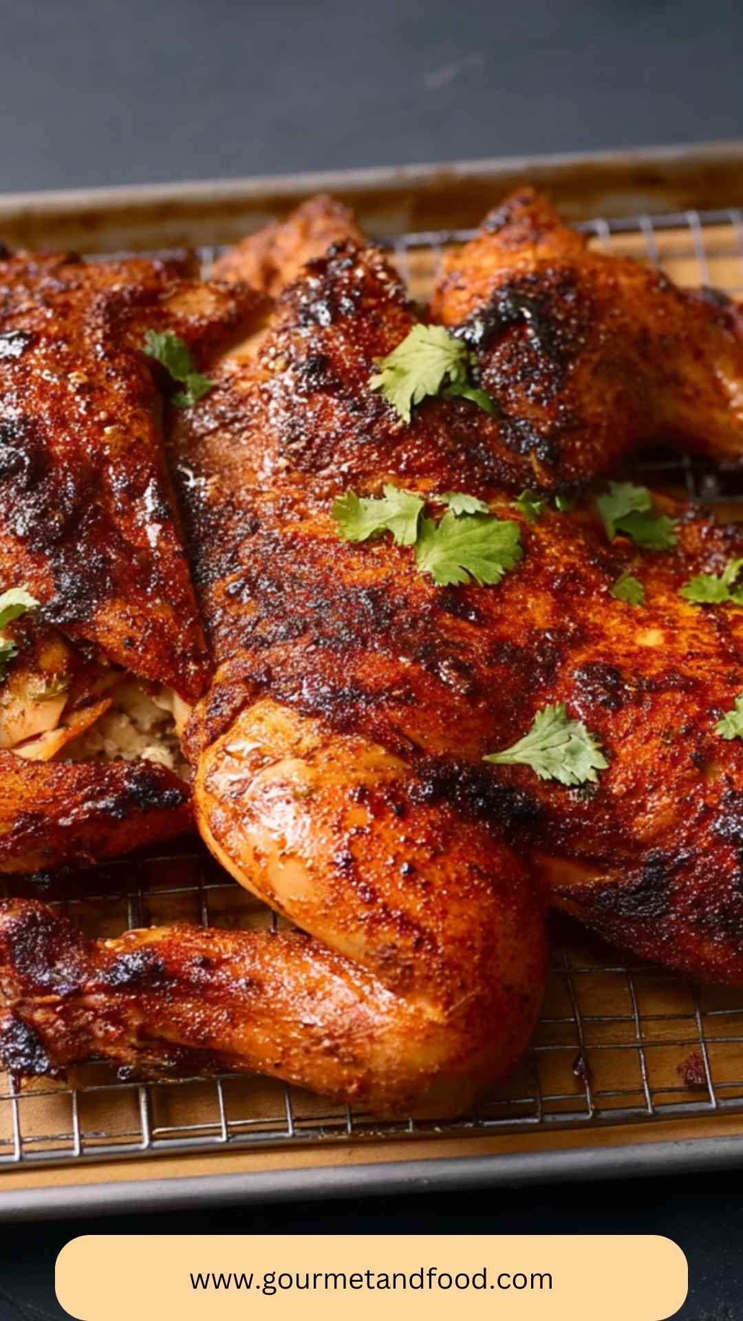 Best Smoked Mexican Chicken Recipe