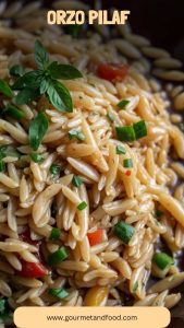 Orzo Pilaf – Gourmet And Food