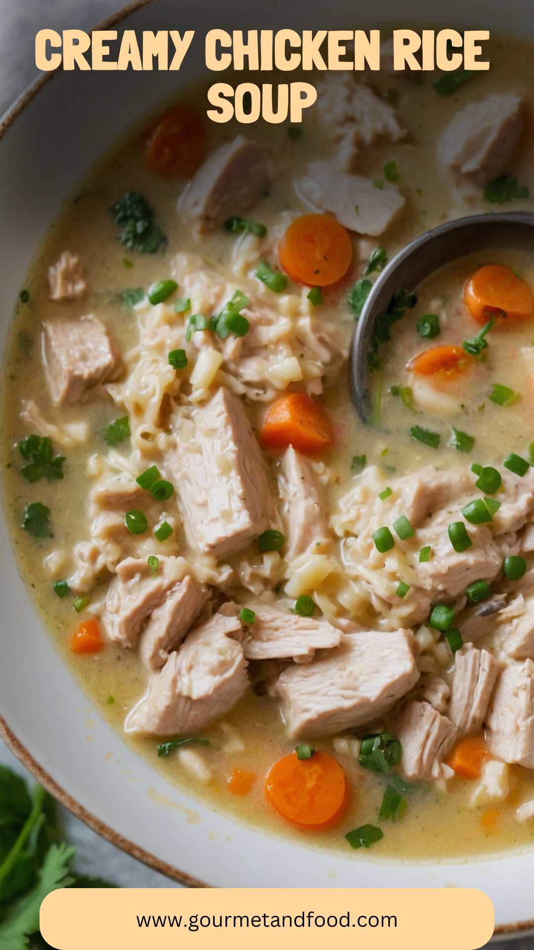 Creamy Chicken Rice Soup
